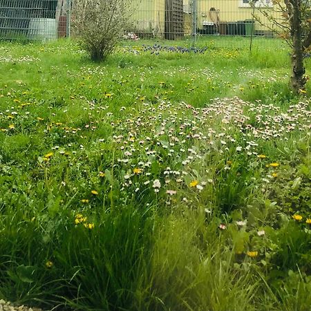 Ferienwohnung Feldmann Freckenfeld Bagian luar foto