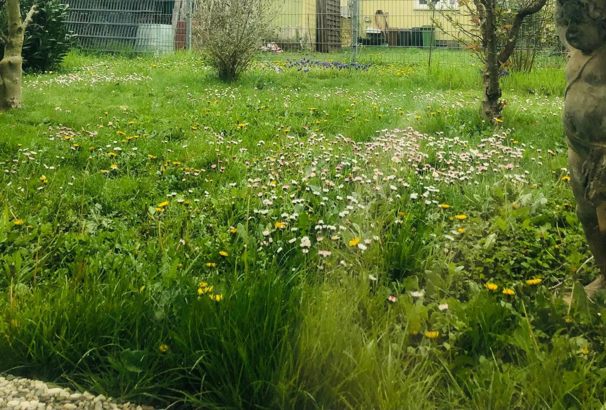 Ferienwohnung Feldmann Freckenfeld Bagian luar foto